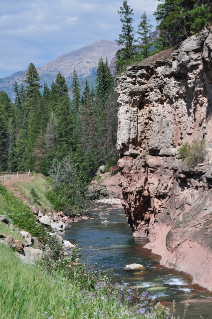 the Crystal River